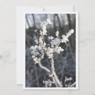 „Frostpoesie – Einladung mit Raureif-Zweig“ Card
