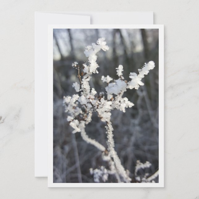 "Frostpoetry - invitation with Raureif branch" (Front)