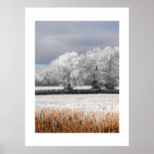 Frosty fields and trees poster