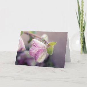 Frosty Helleborus Note Card