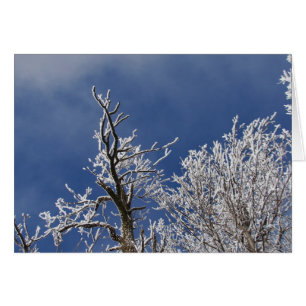 Frosty Iowa Afternoon