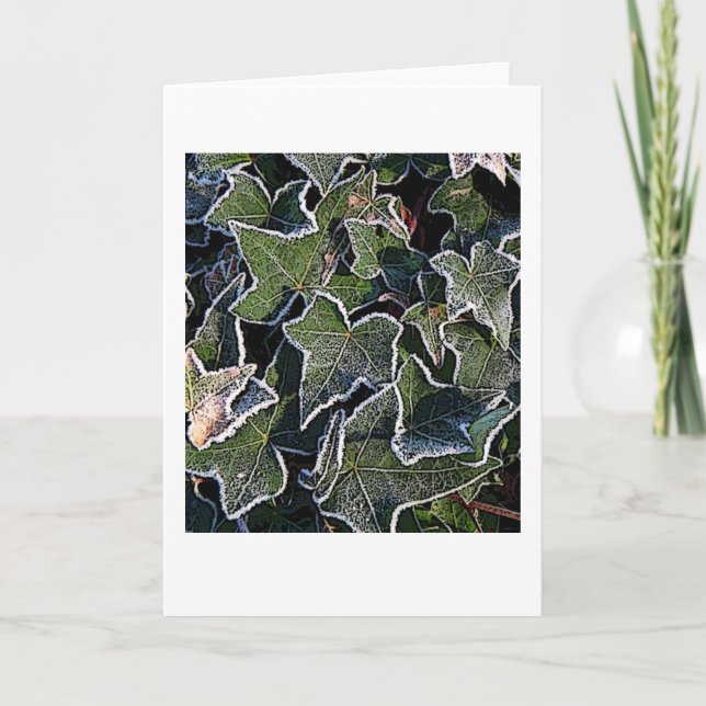 Frosty ivy card (Front)