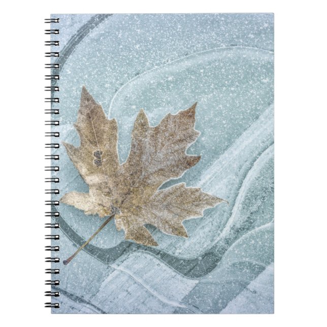Frosty Maple Leaf Frozen on Ice Notebook (Front)