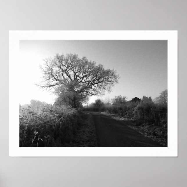 Frosty Morning: Cheshire  Poster (Front)