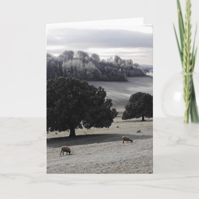 Frosty morning holiday card (Front)