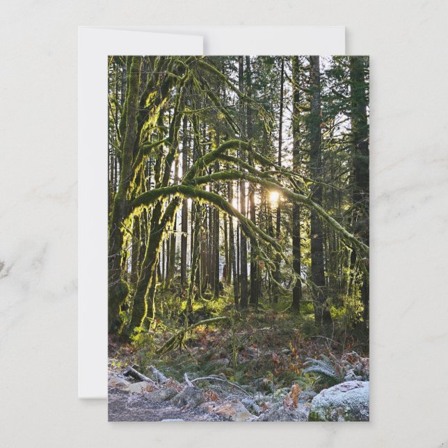 frosty sunlite moss invitation (Front)