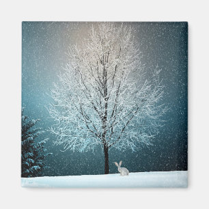 Frosty tree in the evening magnet