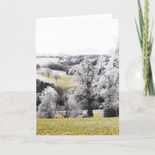 Frosty trees and hills holiday card