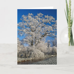Frosty winter scene, England Holiday Card