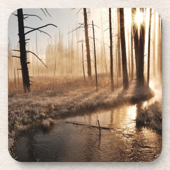 Frosty Yellowstone Morning Coaster (Front)