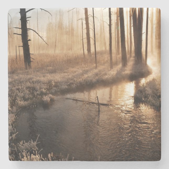 Frosty Yellowstone Morning Stone Coaster (Front)