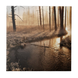 Frosty Yellowstone Morning Tile