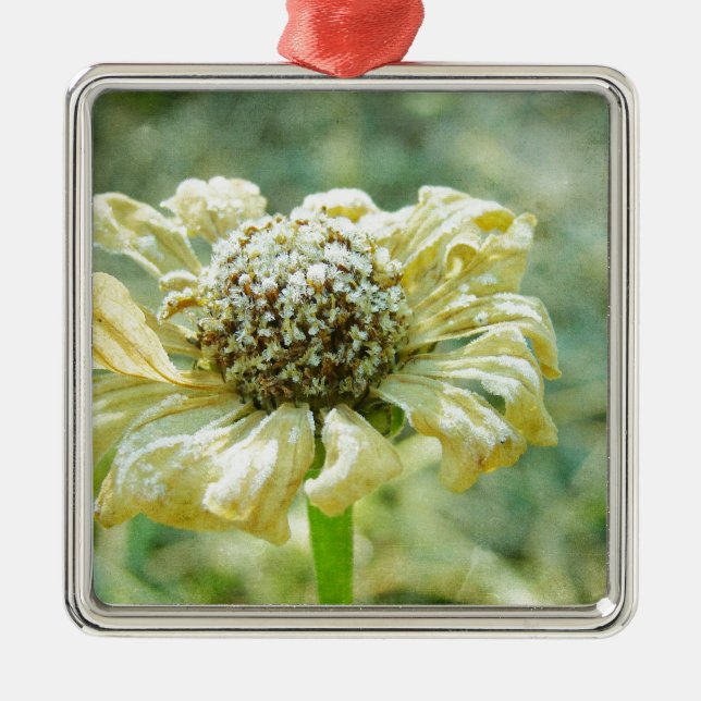 Frosty Zinna Metal Ornament (Front)