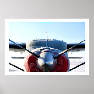 Frozen Aeroplane Poster