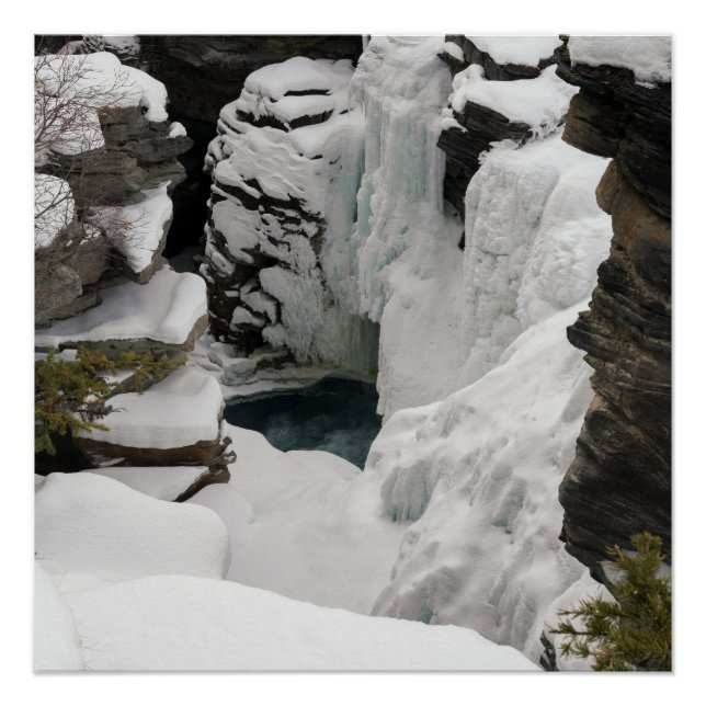 Frozen Athabasca Falls Poster (Front)