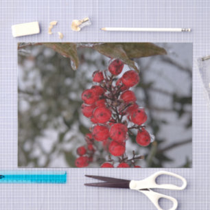 Frozen Berries on a Tree Branch Photo Tissue Paper