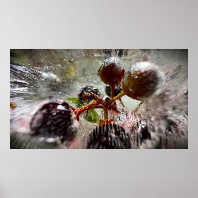 Frozen Berries,  Poster (Front)