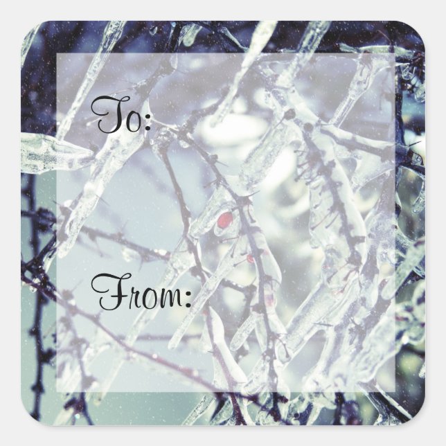 Frozen Berry Gift Tag Sticker (Front)