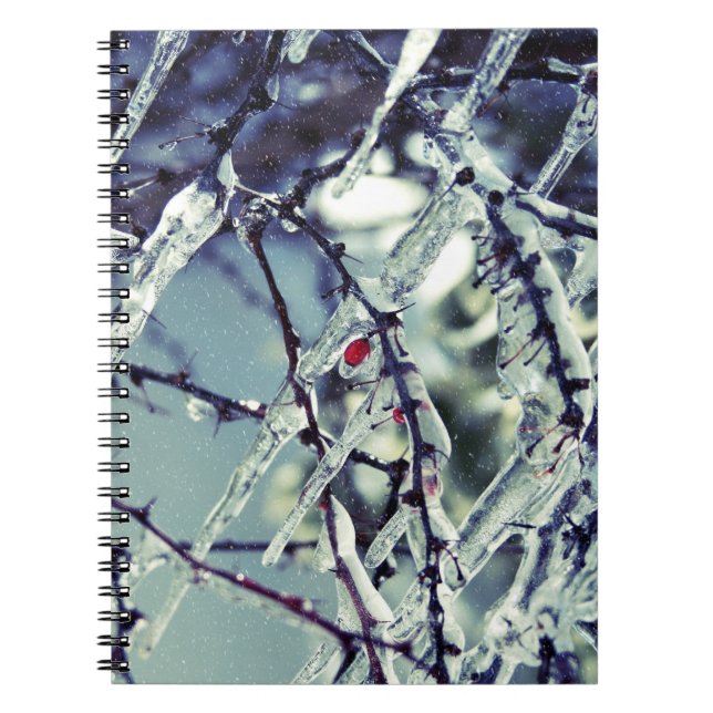 Frozen Berry Notebook (Front)