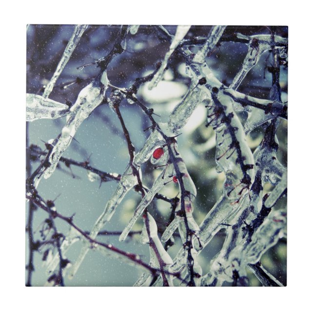 Frozen Berry Tile (Front)