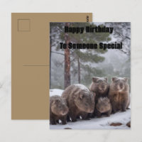 Frozen Burrow: Australian Wombat Family, Birthday