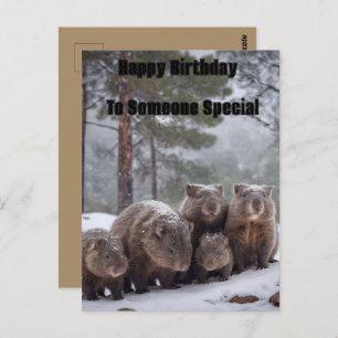 Frozen Burrow: Australian Wombat Family, Birthday  Postcard