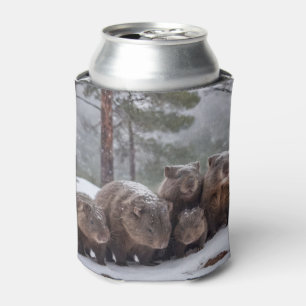 Frozen Burrow: Australian Wombat Family Can Cooler