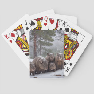 Frozen Burrow: Australian Wombat Family Playing Cards
