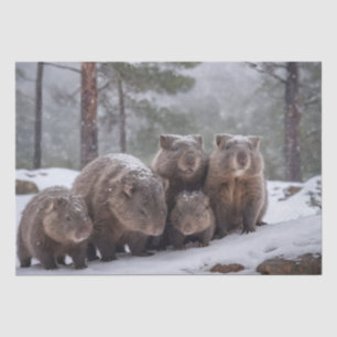 Frozen Burrow: Australian Wombat Family Tissue Paper
