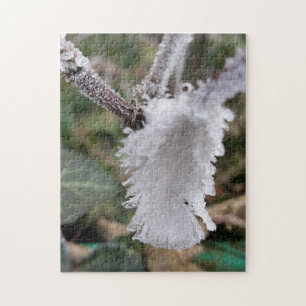 frozen feather jigsaw puzzle
