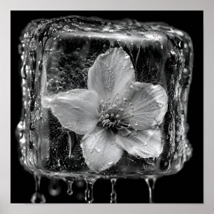 Frozen Flower Melting Ice Poster