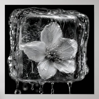 Frozen Flower Melting Ice Poster