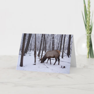 Frozen Forest Card