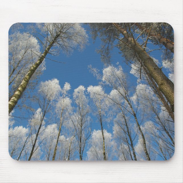 Frozen forest mouse pad (Front)
