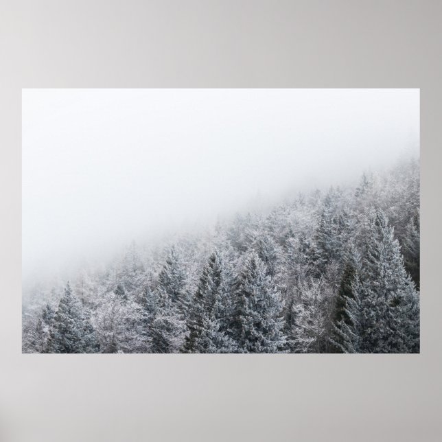 Frozen forest poster (Front)