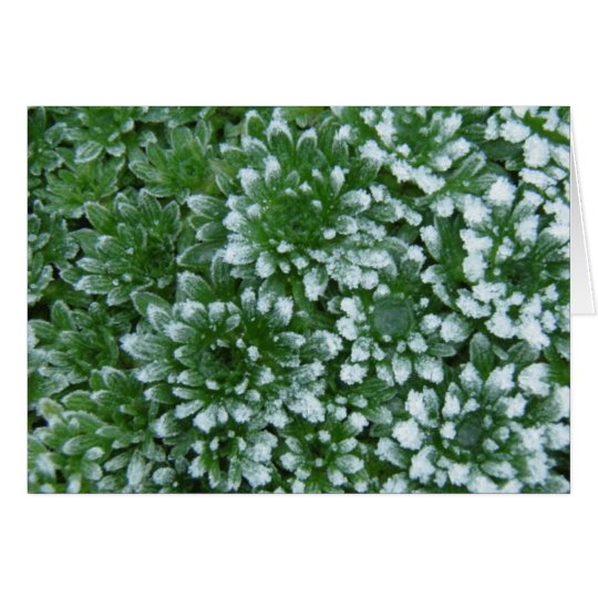 Frozen Greens Card