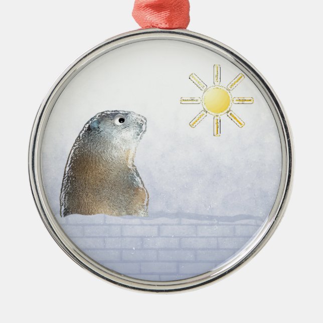 Frozen Groundhog Metal Ornament (Front)