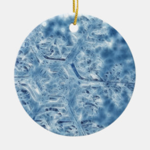 Frozen Ice Crystal Fractal Snowflake Ceramic Ornament