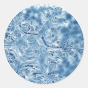 Frozen Ice Crystal Fractal Snowflake Classic Round Sticker