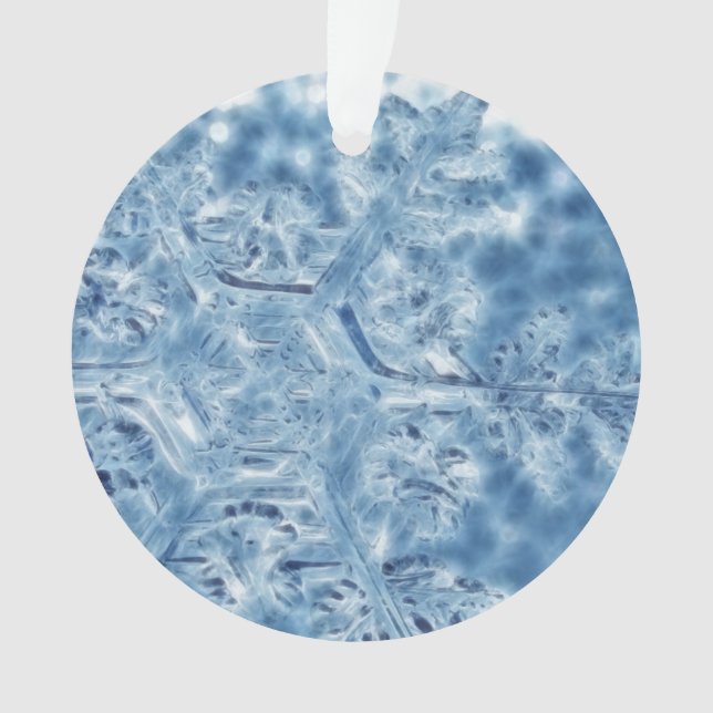 Frozen Ice Crystal Fractal Snowflake Ornament (Front)