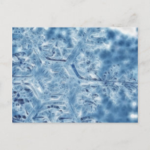 Frozen Ice Crystal Fractal Snowflake Postcard