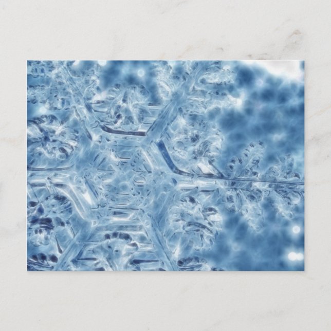 Frozen Ice Crystal Fractal Snowflake Postcard (Front)