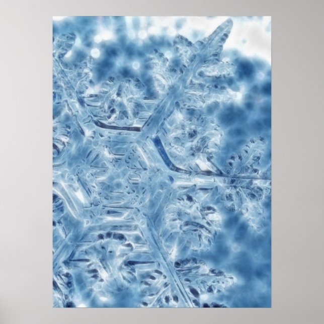 Frozen Ice Crystal Fractal Snowflake Poster (Front)