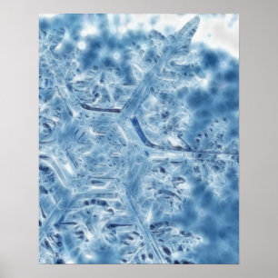 Frozen Ice Crystal Fractal Snowflake Poster