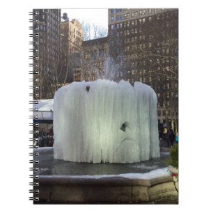 Frozen Ice Fountain Bryant Park New York City NYC Notebook