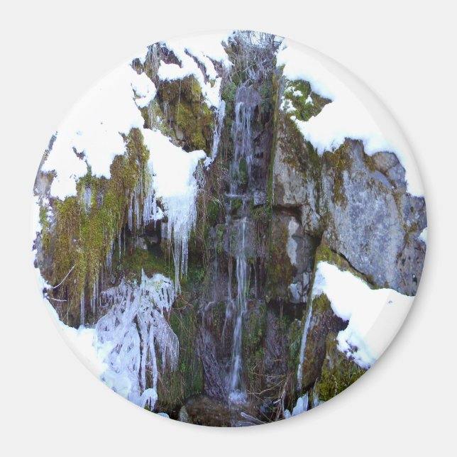 Frozen in time... magnet (Front)