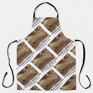 Frozen In Venice (1708) by Gabriele Bella Apron