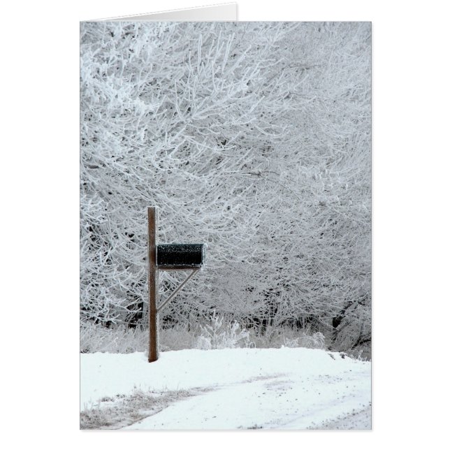 Frozen Iowa All Occassions (Front)