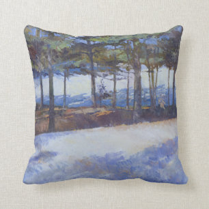 Frozen Lake New York State Cushion