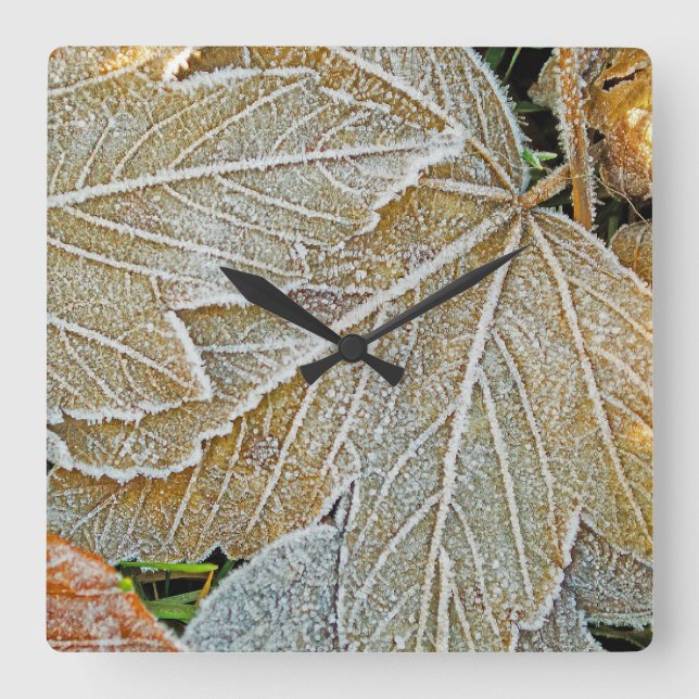 Frozen Leaves Wall Clock (Front)